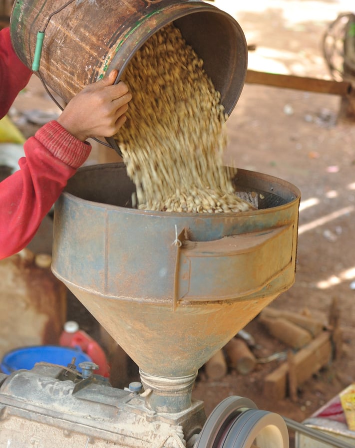 How Coffee is Processed